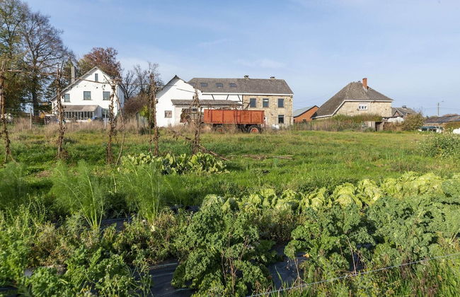 Farmhouse Kalys in Vielsalm With 180° View of the Forest - Foto 35