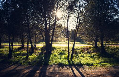 A due passi dal mare - Foto 16