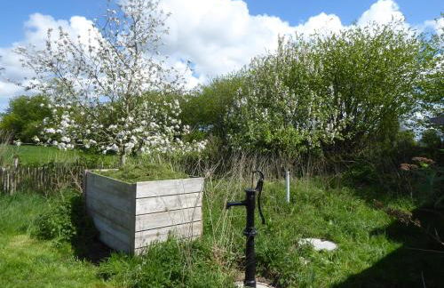 Erholung auf dem Land zwischen Ostsee und Schlei - Foto 34