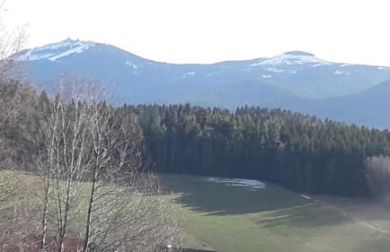 Köppl Katrin - Photo 4