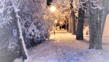 Villa Rosalía - Foto 4