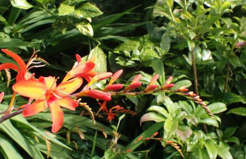 Linnhe Apartment, Kinlochlaich House - Foto 30