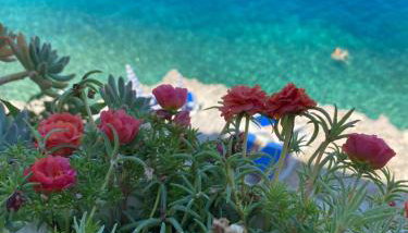 Seafront Vacation home "Tea" - Foto 4