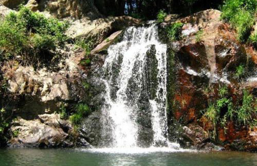 Palheirinho - Foto 6