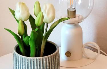 Kellifornia - Foto 12