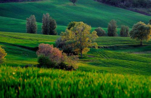 Il Capuccio - Foto 55