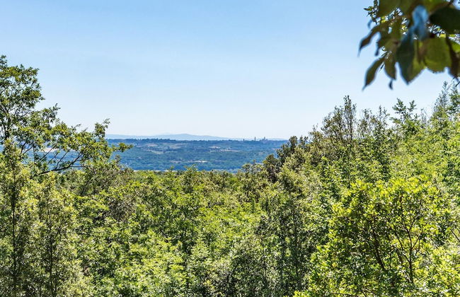 Villa Rinaldi 6 in Carpineta - Foto 25