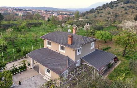 Ginger House - Foto 9