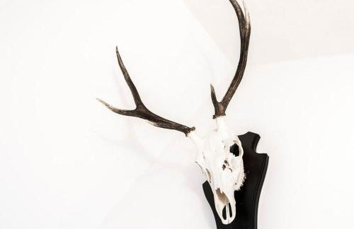 Pommernhaus Vorsee am Kiefernwald - Foto 9