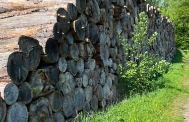 NEW Spacious House with large garden - Foto 68