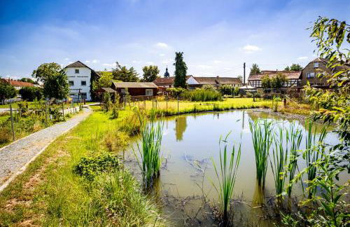 Waldblick Ferienhof Wolschendorf - Foto 23