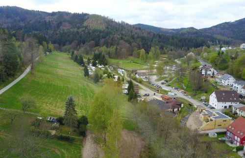 Schwarzwaldstrand Ferienwohnungen - Foto 13