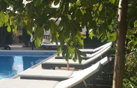 Agroturismo Sa Vinya d'en Palerm - Foto 39