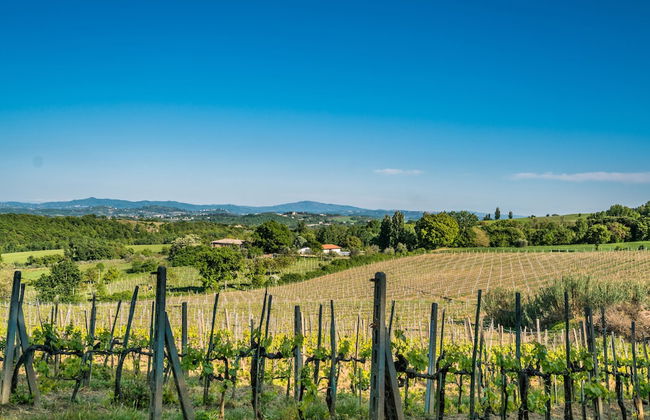 Agriturismo Palazzo Bandino - Photo 66