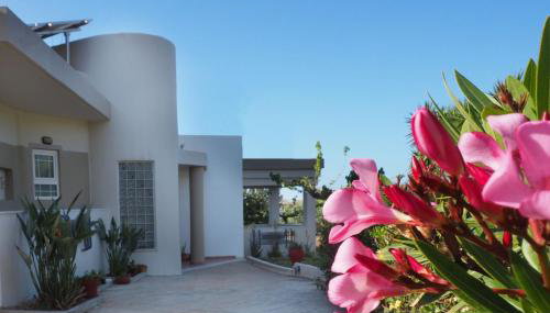 Olive House - Photo 3