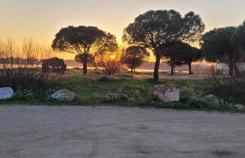 Mèze avec vue face à l'étang - Foto 12