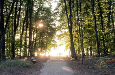 Haus Brandenburg - Foto 58