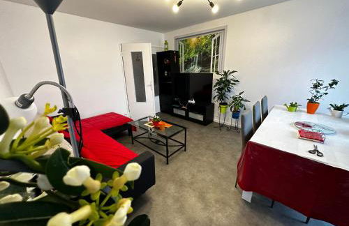 Les Dômes du Parc 4e App T3 et T1 proche de toutes commodités - Foto 2