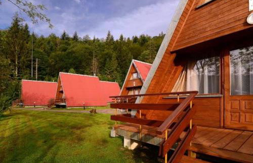 Perełka Bieszczady Domki - Photo 61