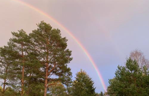 Tornower Waldhäusl, perfekt gelegen 60 km vor Berlin, auf der Schwelle zum Spreewald und nahe Tropical Islands - Foto 18