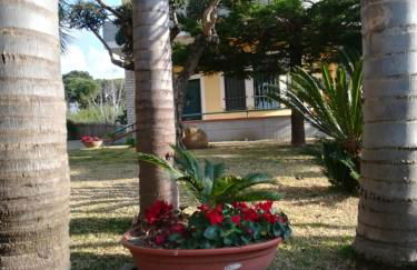 CALLIMACO'S HOME Comfort e Deluxe - Foto 20