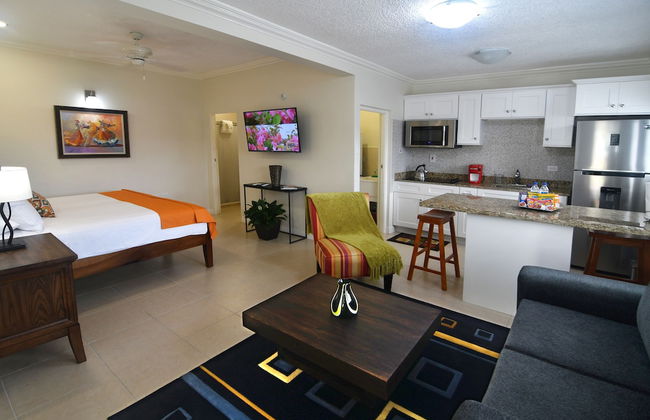 Centrally Located Guest Apartments III - Photo 5