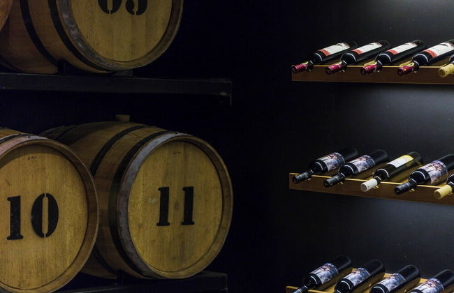 Litinus Regia Crete - Photo 60