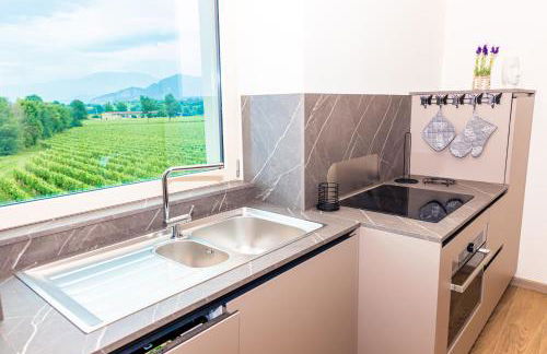 Casa Vacanza Dany in Franciacorta Vista Vigneti - Foto 31