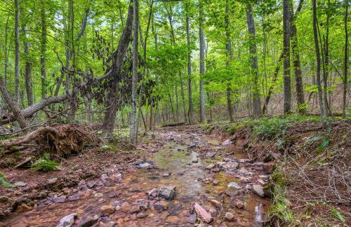 Trailblazer Lodge - Upscale, hot tub, trail, game room, wifi, fire pit, bar, pool table, king bed, view, pet friendly - Photo 54