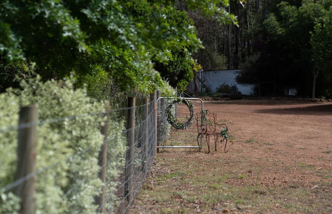 Noble River Estate - Photo 55