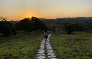 Fazenda Terra Bonita - Foto 8