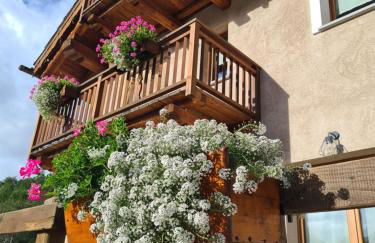 La Maison. La Roccia dello Stambecco - Foto 24