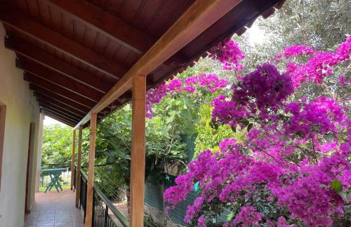 Ideal Cottage Holidays-Ιδανικές Εξοχικές Διακοπές - Foto 1