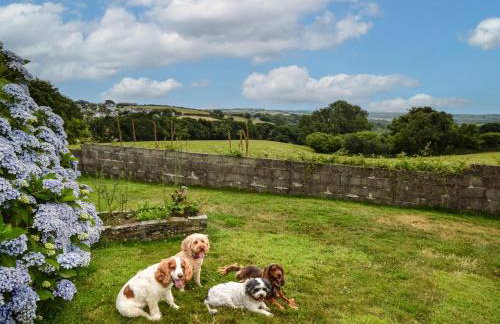 2 Bed in Falmouth oc-tvean - Foto 22