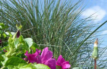 Haus am Dorfteich Kopendorf, Wohnung 2 - Foto 18