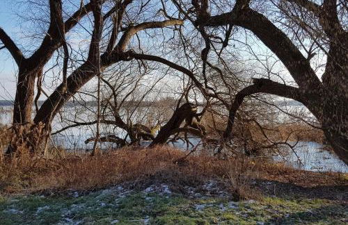 Ferienwohnung Zur Rose - Foto 8
