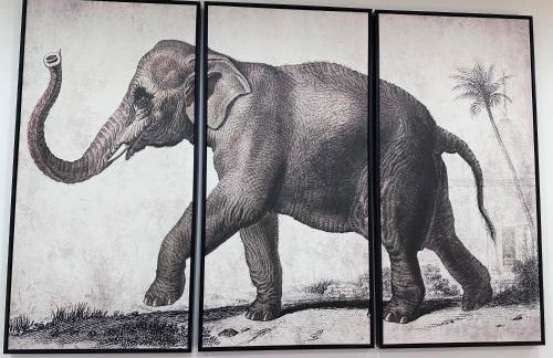 La Casita de Tita - Foto 24