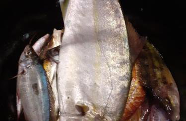 Apartment Nikki - Foto 18