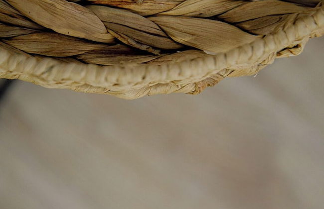 IRIS' Garden Retreat - Foto 7