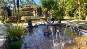 Rosa de la Sal - Foto 4