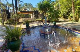 Rosa de la Sal - Foto 4