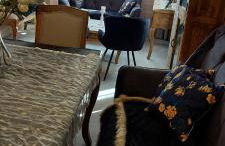 la Brigitte - Foto 8