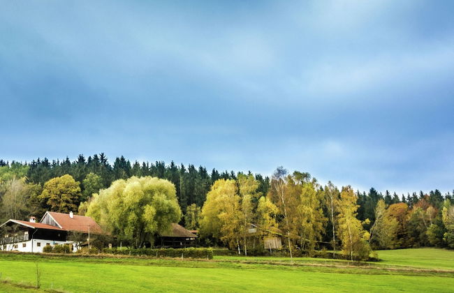 Hideaway With Hammock - Photo 19