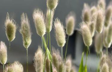 Face aux Isles - Foto 48