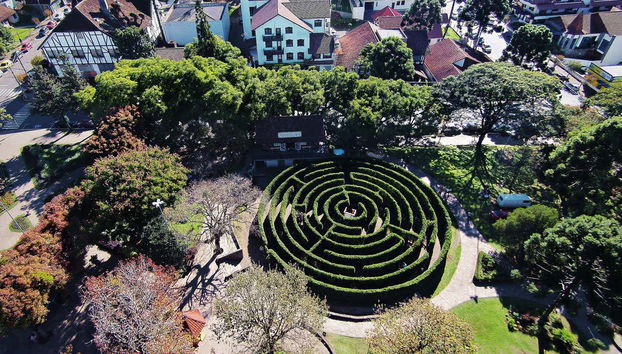 Bird's eye view of the maze