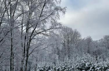 Studio direkt Rothaarsteig 8 - Foto 13