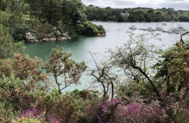 Studio GîTE COSY sur Jardin - Foto 30