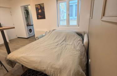 2 pièces, climatisé Neuf ,Centre Haguenau Parking Gratuit - Photo 11