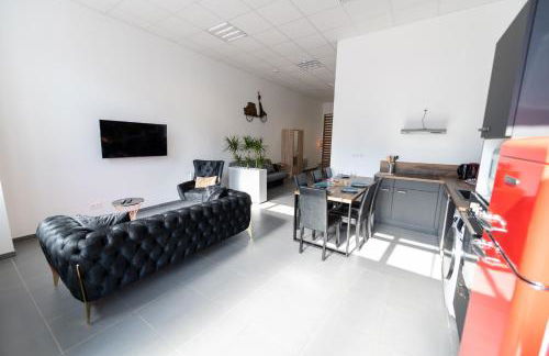 LOFT LA MINE D'OR - Parking gratuit et privé - Wifi - Tout équipé - Machine à laver - Foto 24