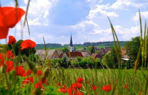 Atelier-Rapp - Foto 38